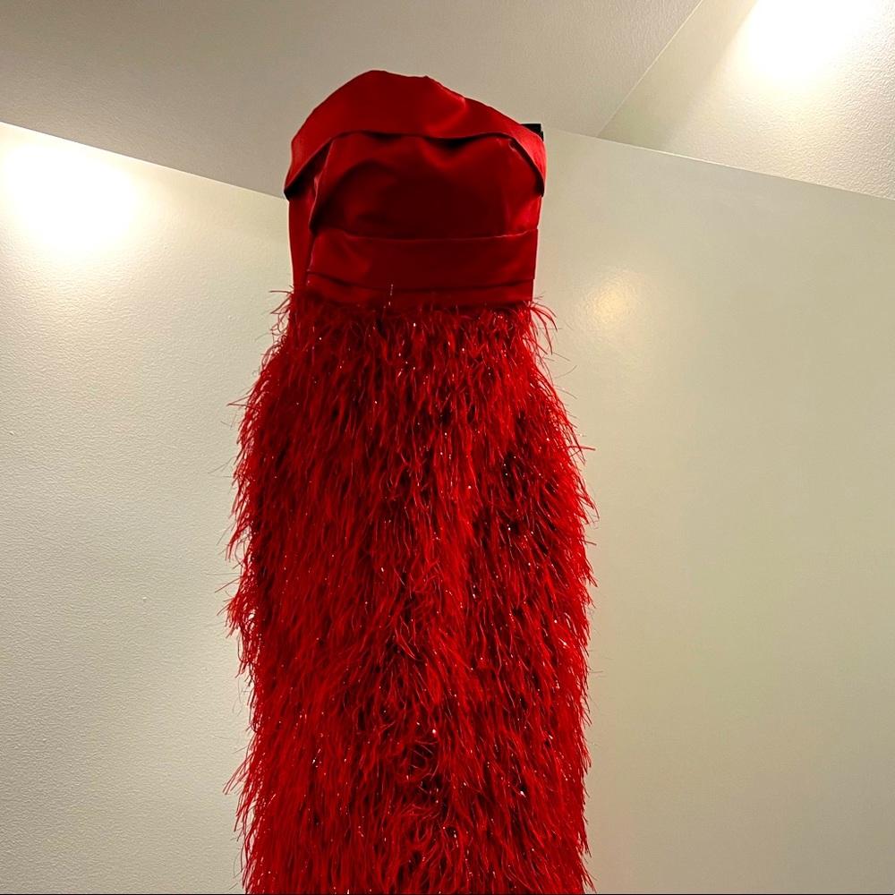 Beautiful red Gown with red feathers